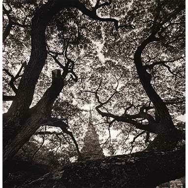 Rolfe Horn: Bell Chedi, Wat Mahthat, Sukhothai, Thailand 2000